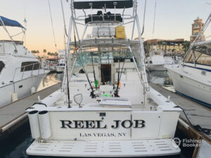 Reel Job Gallery89 Reel Job Gallery89