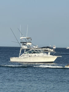 image7 image7